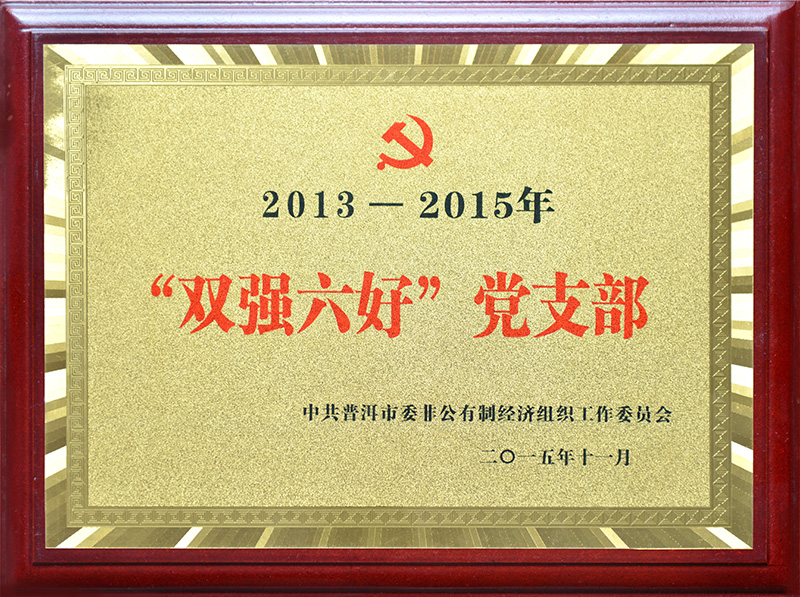 2015年—“雙強(qiáng)六好”黨支部