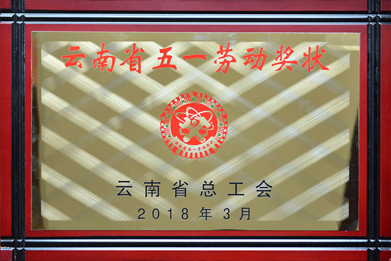 2018年—云南省五一勞動(dòng)獎(jiǎng)狀