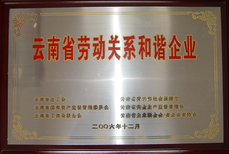 2006年—云南省勞動(dòng)關(guān)系和諧企業(yè)